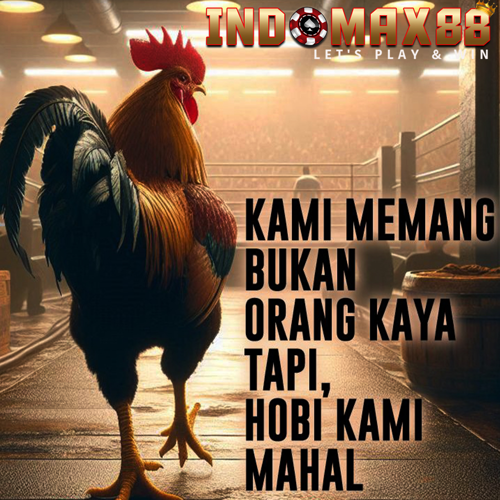 INDOMAX88 Agen Sabung Ayam Online Situs Sv388 Akses Terbaru 24 jam Nonstop